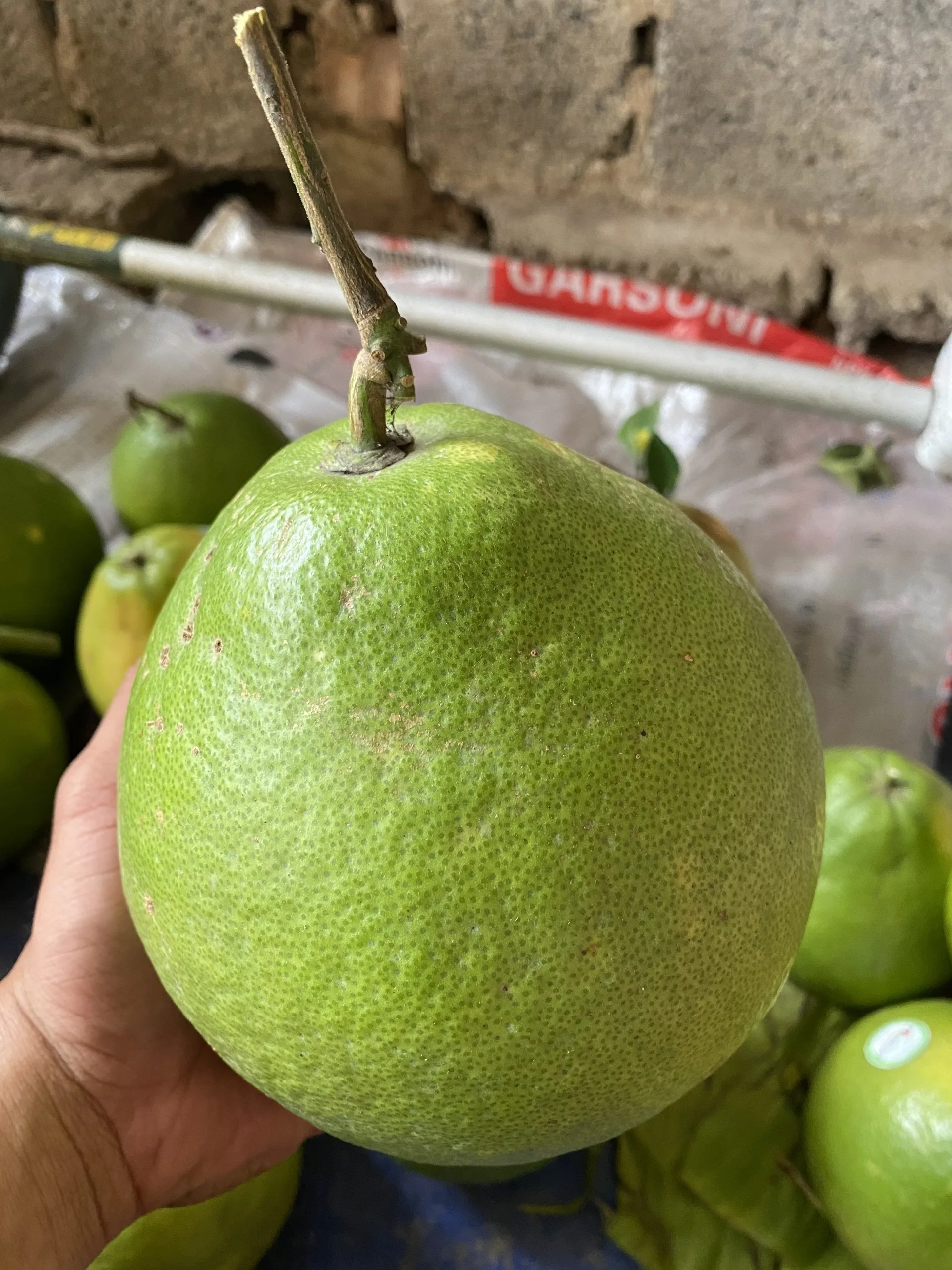 High Quality New Crop Carton Box Packaging Fresh Organic Pomelo Export From Vietnam Manufacturer