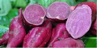 Fresh Purple Sweet Potato/ Whatsapp +0084 845639639