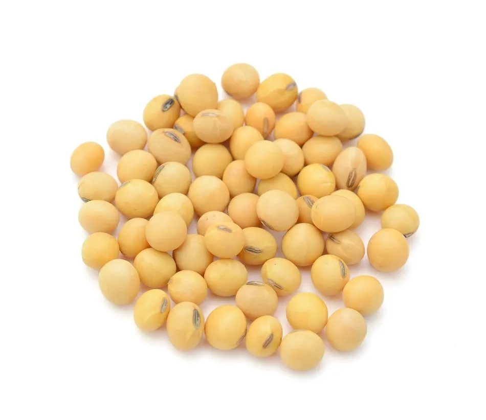 
Quality Soya beans for sale 