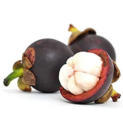 Fresh Fruit Big Size - Mangosteen Fruit Origin Viet Nam Particular Type
