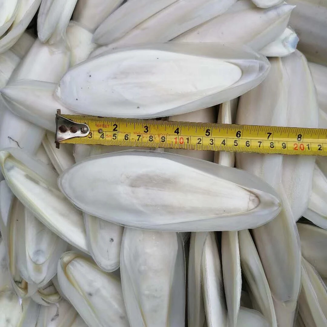 Сушеные кости для морской рыбы высококачественные чистые натуральные морепродукты оптом сушеные