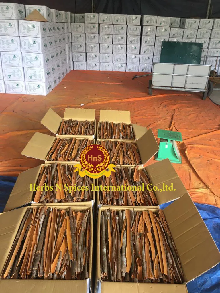 
Cassia Wholesale Cinnamon Cassia Low Price And High Quality High Oil Dried Cassia 