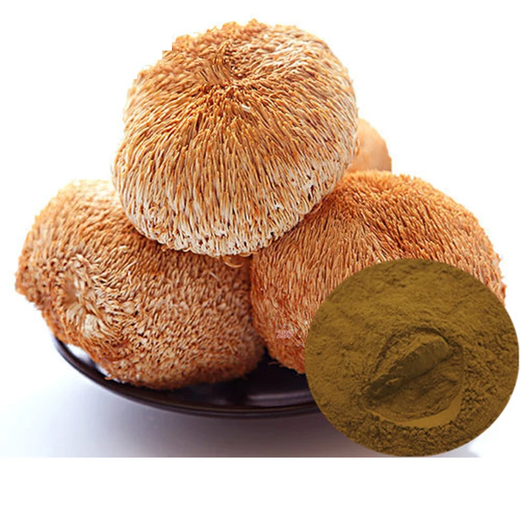 lion mane mushroom extract powder Hericium Erinaceum Extract Fruiting Body 50% polysaccharides by UV lions mane private label