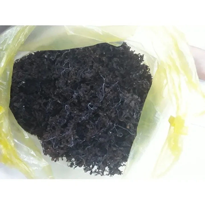  Сушеные водоросли саргассум по хорошей цене