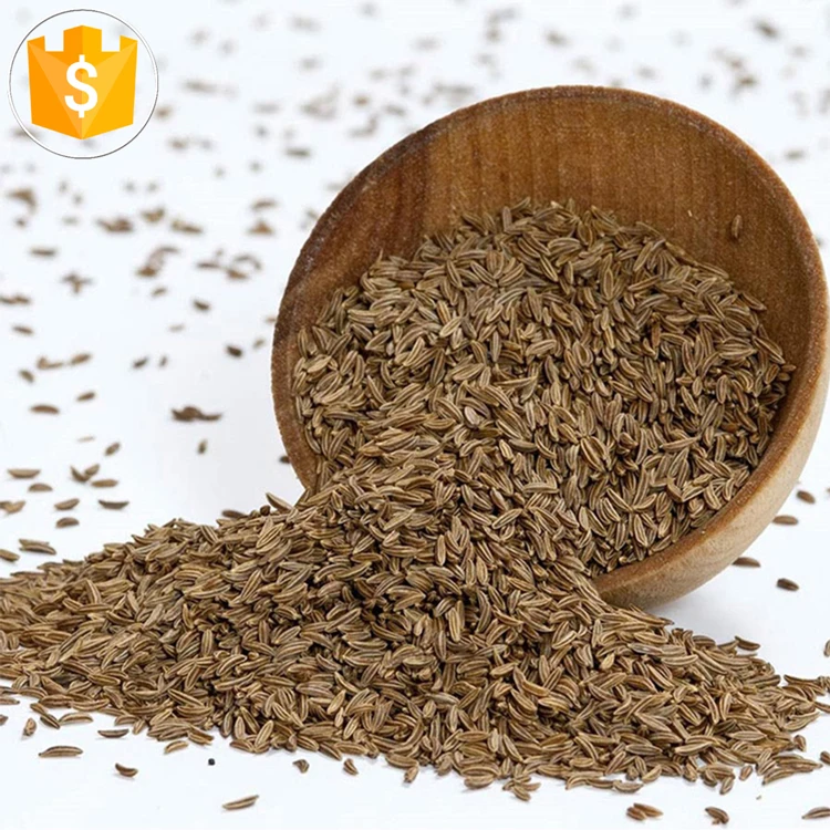 oem high quality Jintan alcaravea factory price caraway seed