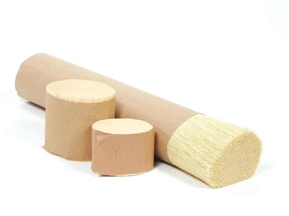 
Mexico Tampico Natural Tampico Fiber For Clean Brush Making 