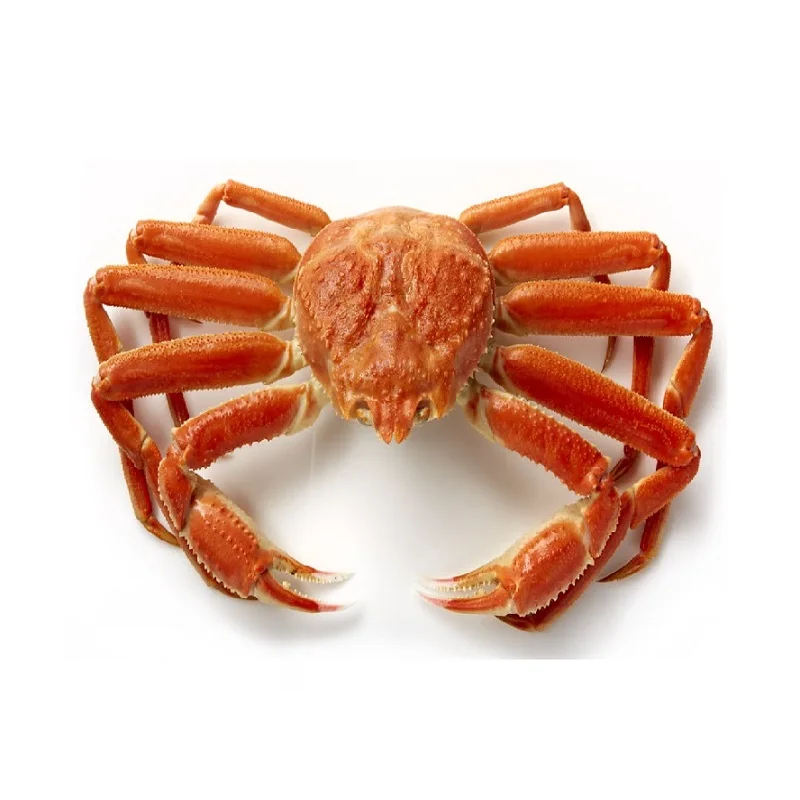 Hot Sale Of Fresh Deep Sea Crab Chilean Best Quality Baby King Crab Antarctica snow Crab At Cheap Price