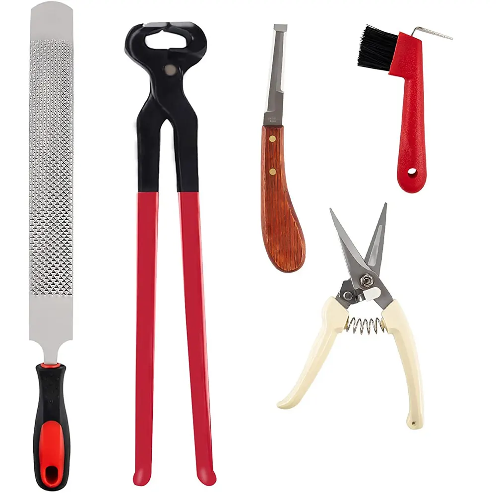 High Quality Stainless steel hoof Trimming Kits with wooden handle With Customized Logo And Made In Pakistan