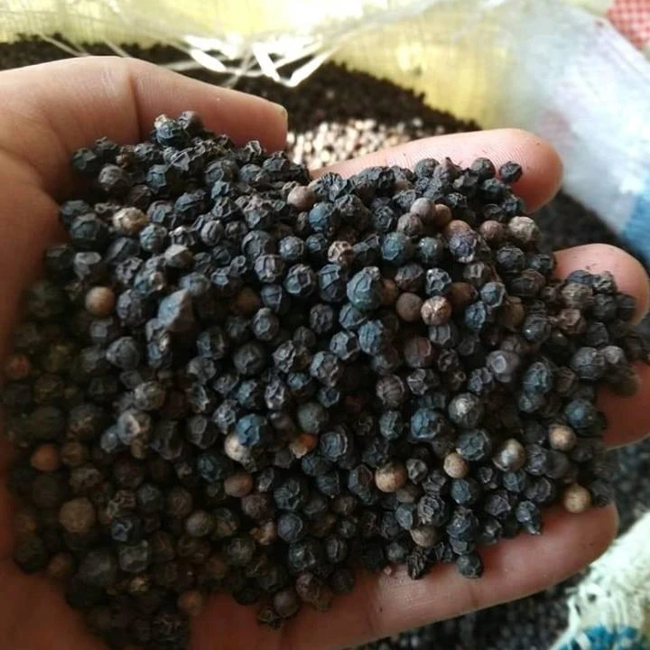 Hot Spices For Sale Vietnam Black Pepper 5mm ASTA