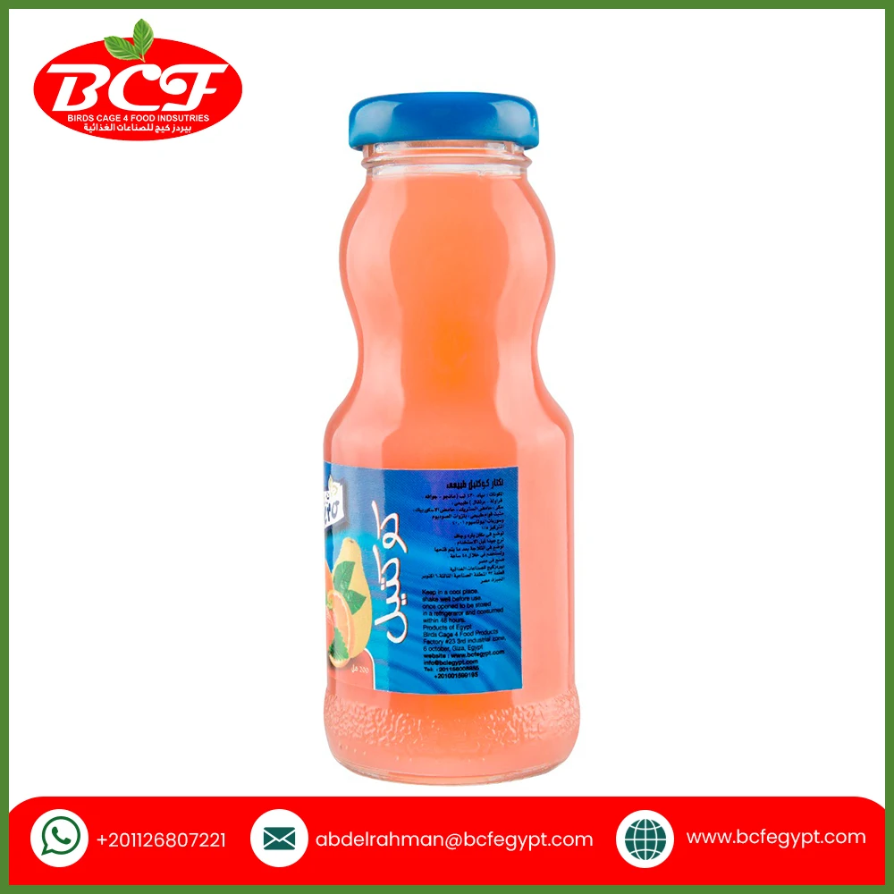 Global Bulk Supply Pure Cocktail Juice Nectar (Nero) 200 ML Fruit and Vegetable Juice