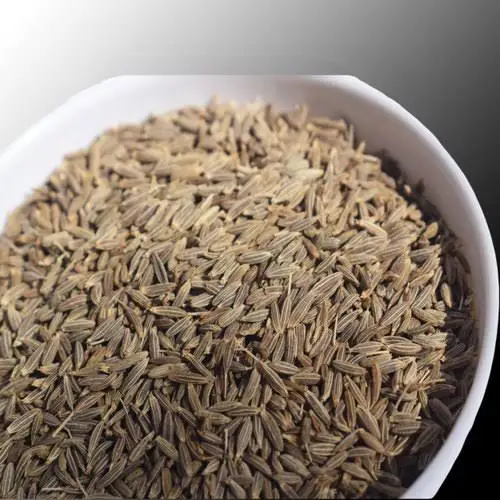 
COMINHO / KOMIJN / KAMMUN / SPISKUMMIN / COMINO DI CUMIN Seeds India 