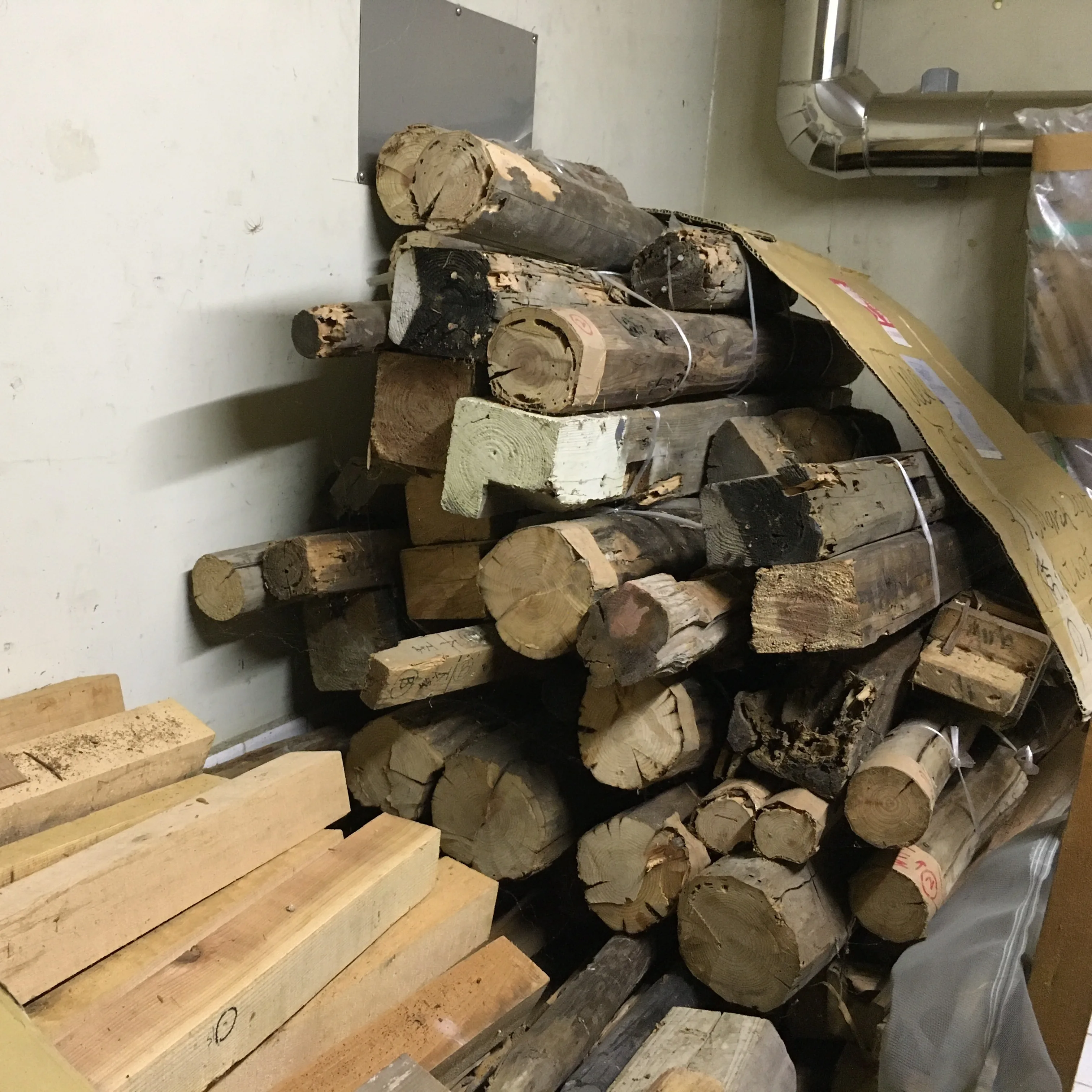 
boric acid-based termiticides aqueous solution SOUFA 