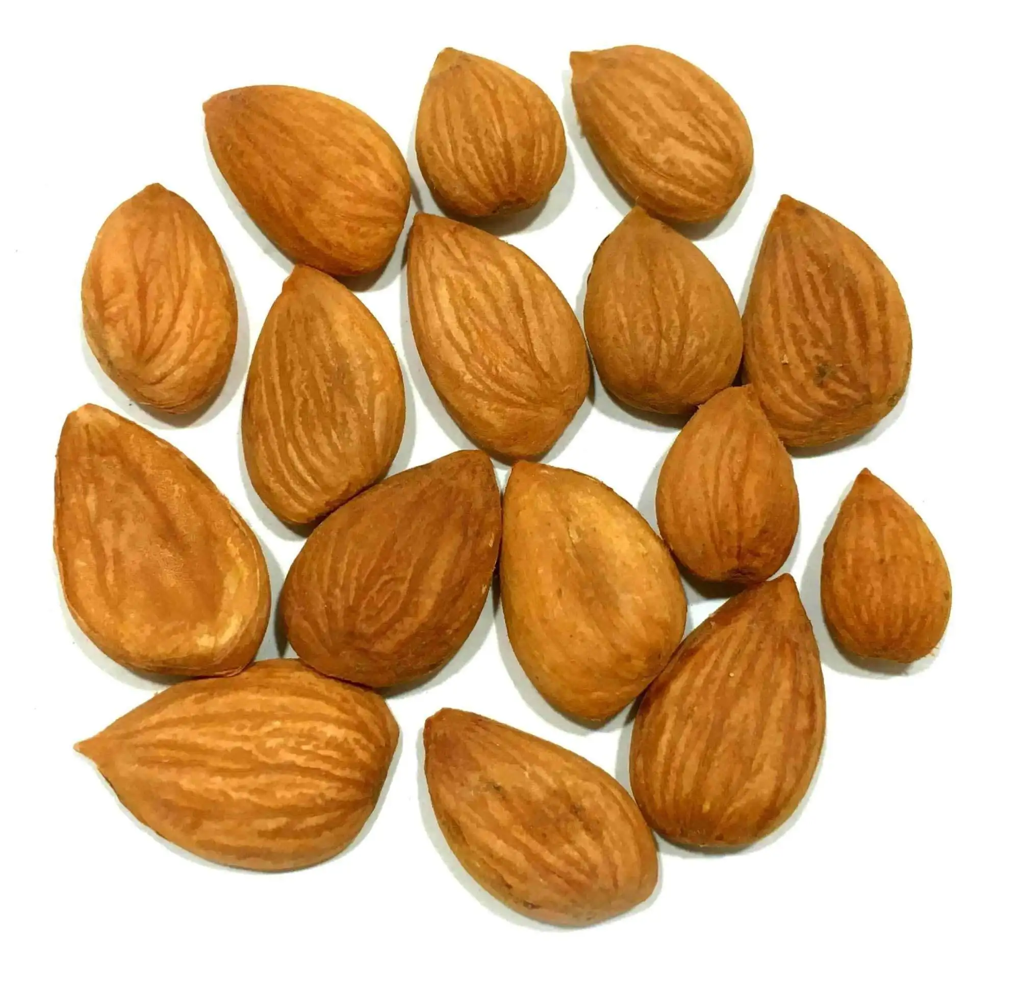 Natural Apricot Seed
