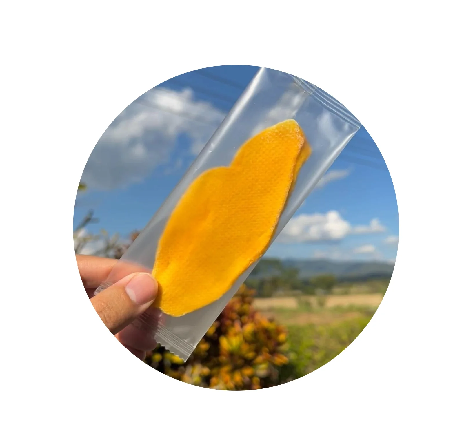 OEM Service OEM Brand Dried mango low sugar  Soft dry mango low sugar product from Thailand