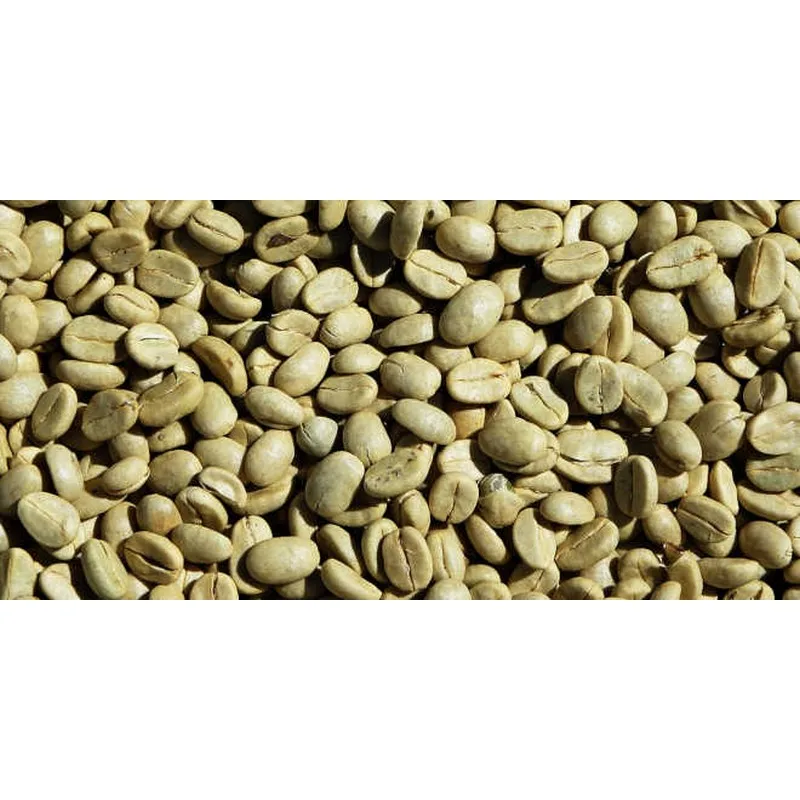 Best quality Green Coffee Beans SANTOS NY2/3 SC.17/18  FINE CUP ALTA MOGIANA Arabica ready to export