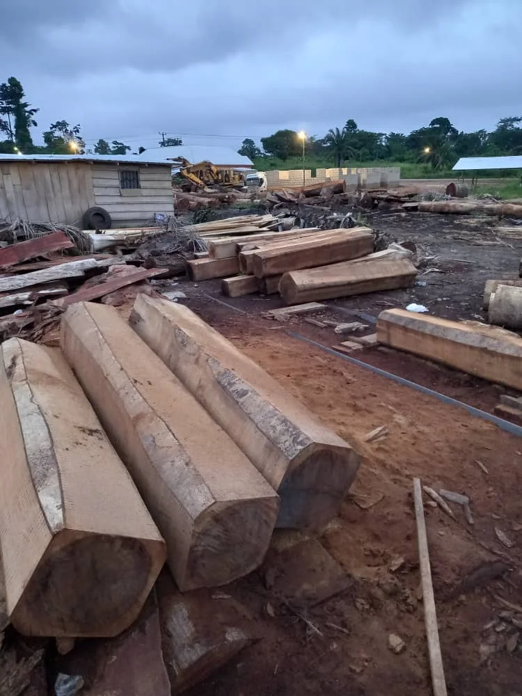 High Quality Amozambique Wood Black Hyeua Mozambique Logs Wood Teak Timber