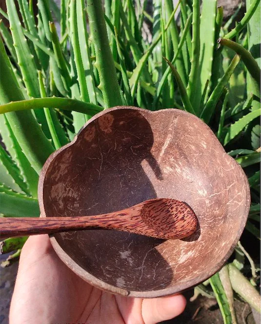 ECO-friendly Natural Bowl of Coconut Decor/ Coconut Dining Bowl/ Coconut products decor made in Viet Nam