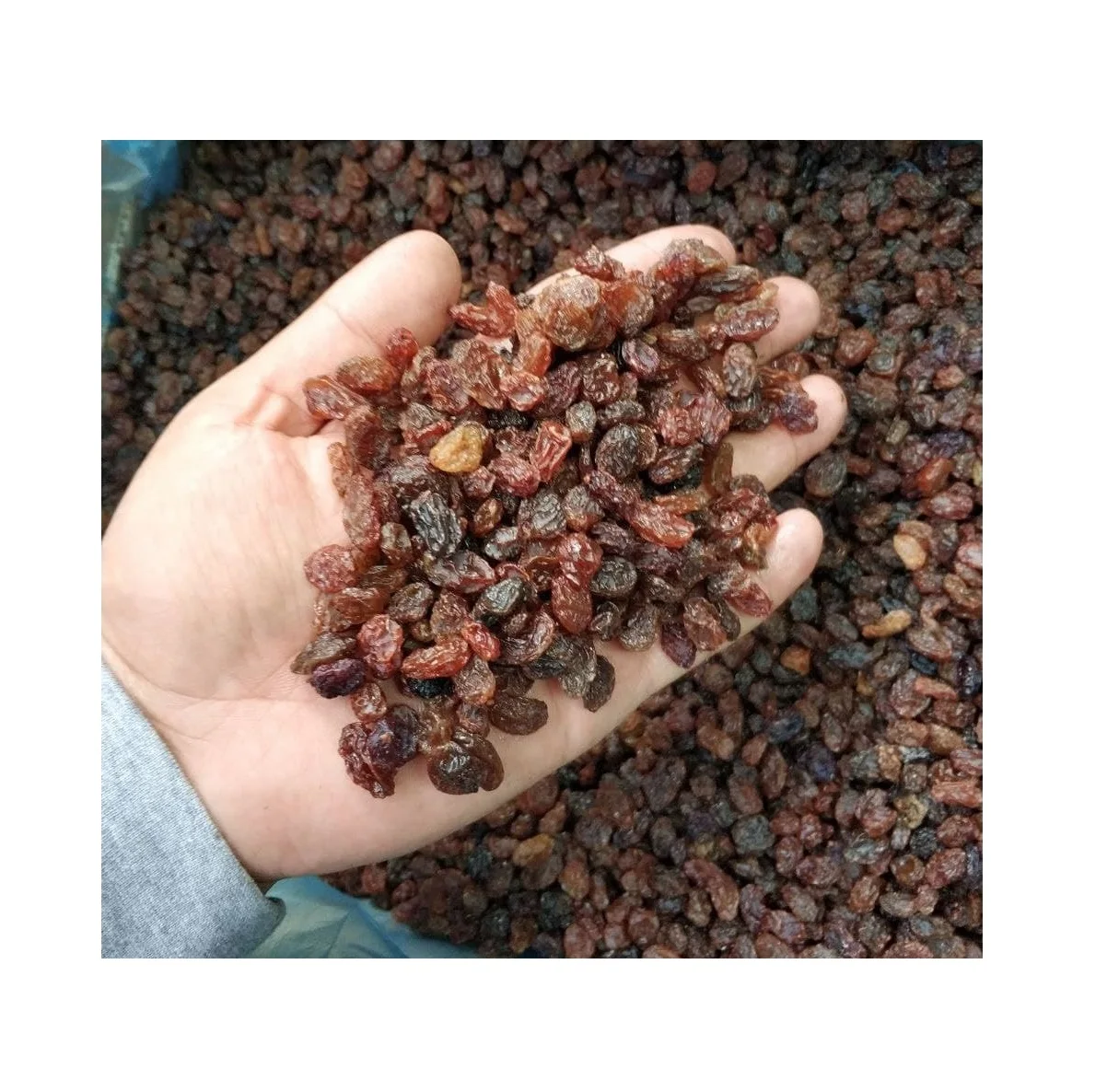 Wholesale crop 2021 October best quality from Uzbekistan bags 25 kg  organic dried fruits black raisins
