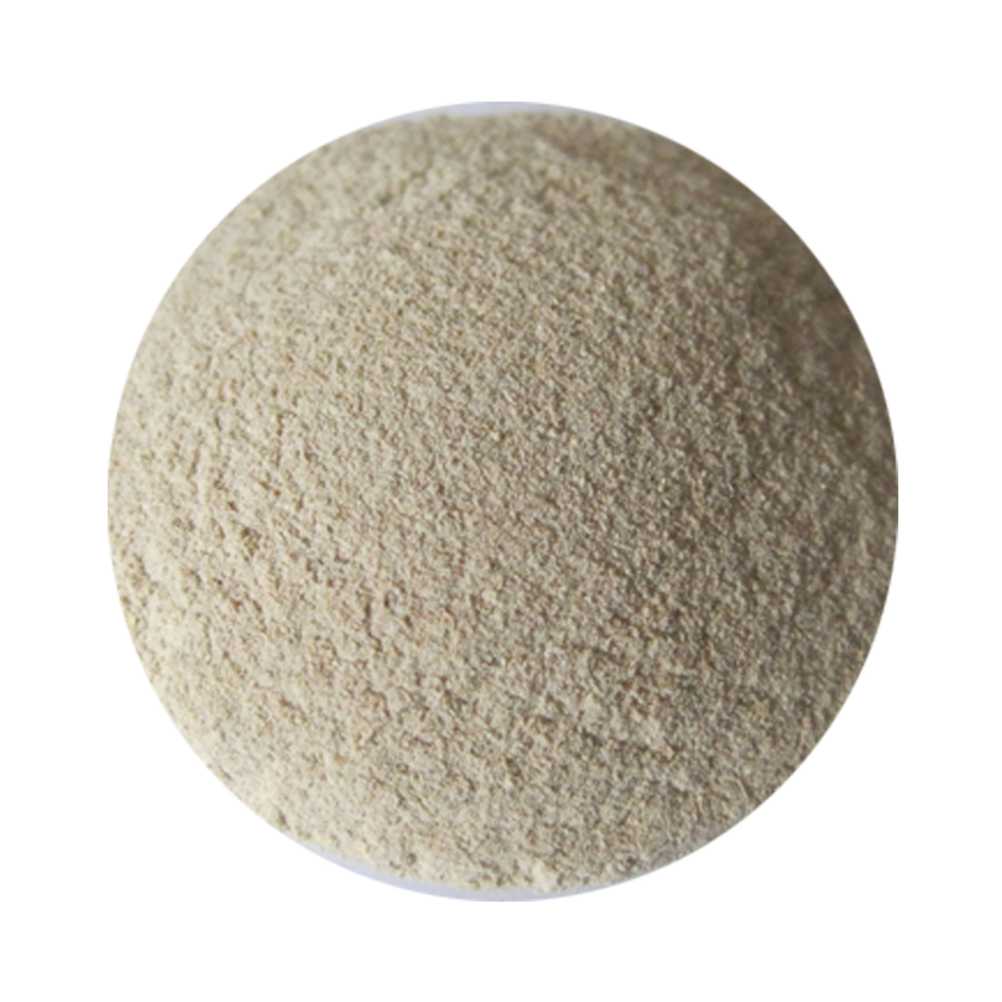 
Fungal Alpha Amylase Enzyme Factory 