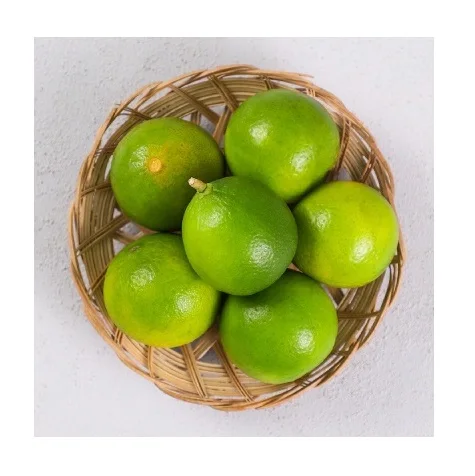 VIETNAM FRESH SEEDLESS LIME ALL SIZE WHATSAPP WECHAT VIBER 0084326572671