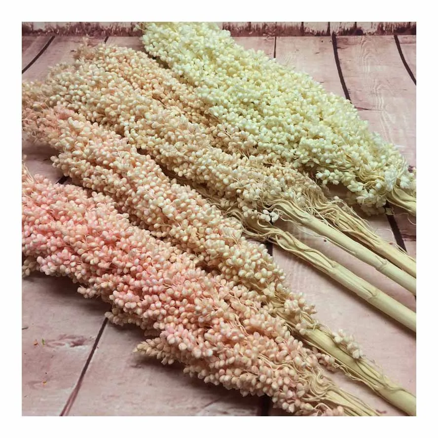 Высококачественная Оптовая Продажа сорго красного цвета по хорошей цене