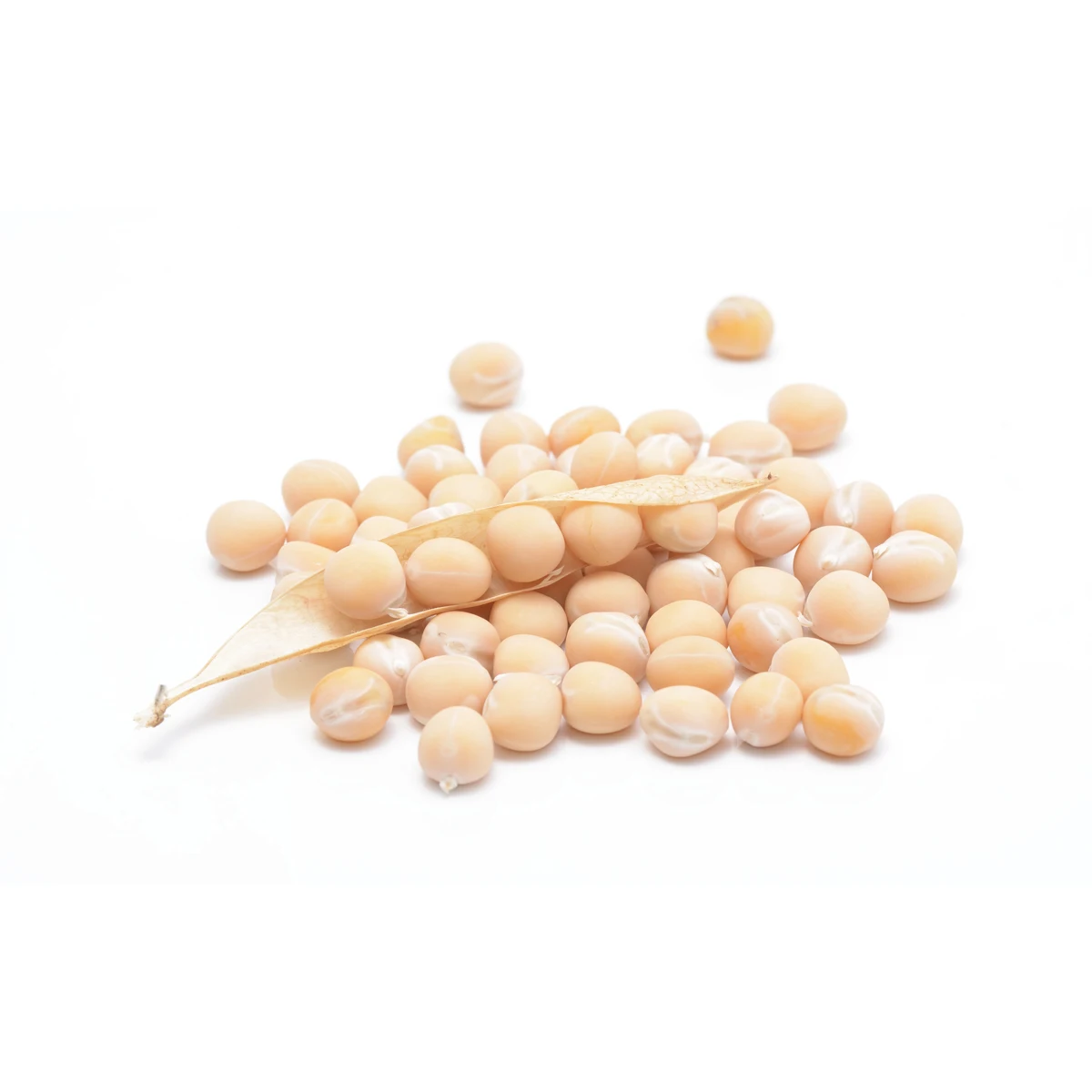 
Great quality yellow peas whole for food production, pea protein 
