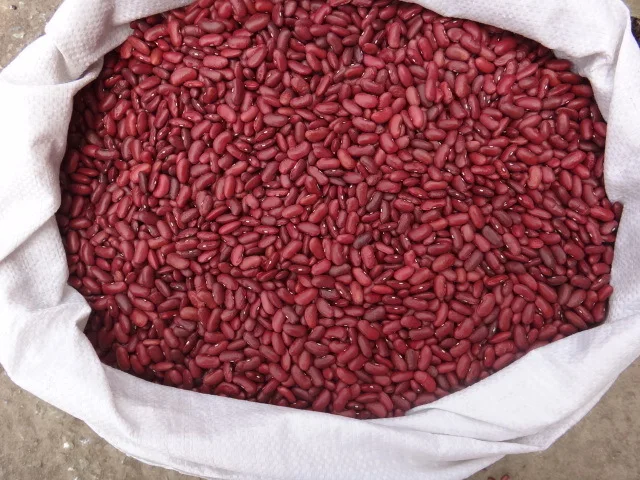 Dried High yield red kidney beans
