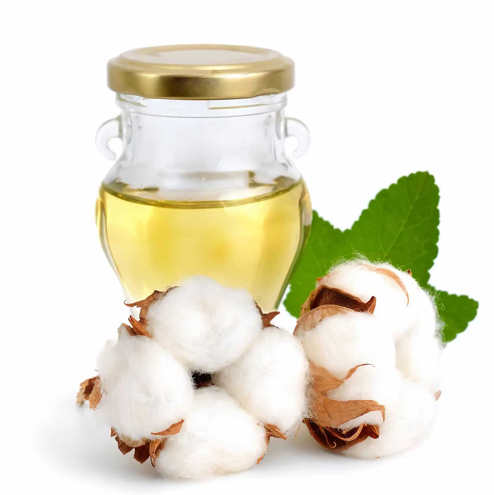 New Product Oil bulk Crude & Refined Cottonseed Oil  Jerry can and plastic bottle packaging.