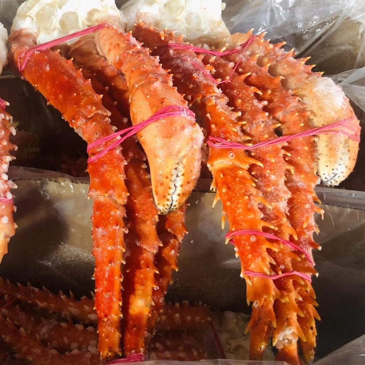 
Quality Live Red King Crabs Frozen Red King Crab Legs For Human Consumption 