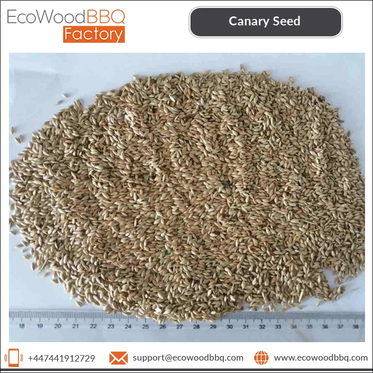Wholesale Price of Healthy Food Natural Organic Bird Feed Canary Kernel Seeds