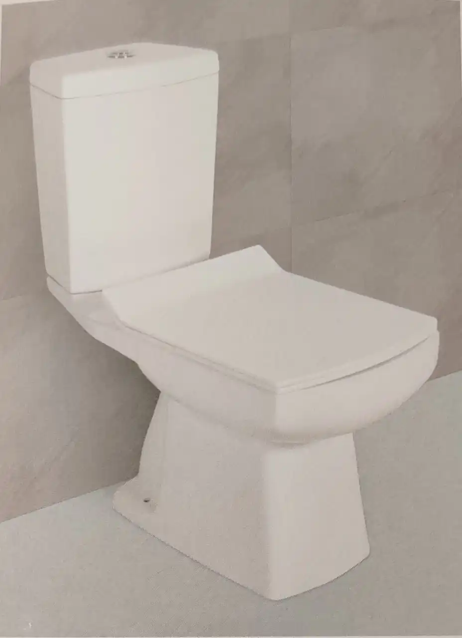 Best Sanitary Ware Italian Two Piece Water Closet with Cistern for Bathroom