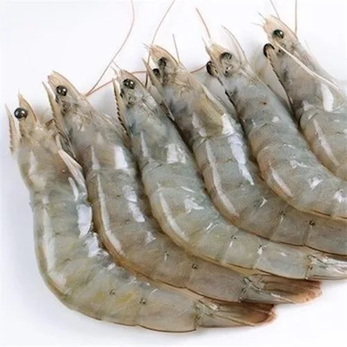 
Fresh Frozen Whole Vannamei Shrimp White / Black Tiger Shrimp / Prawn 