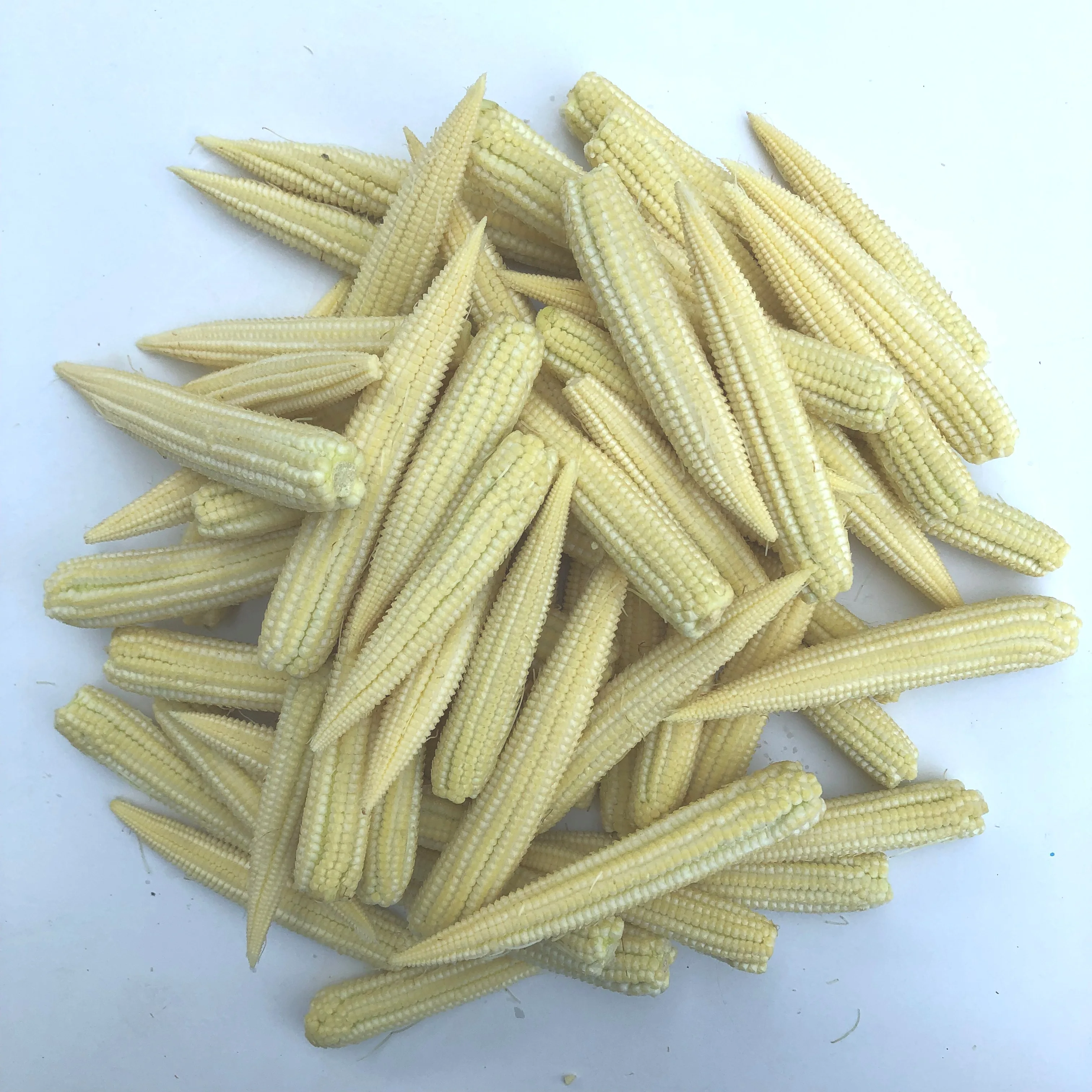 Fresh Baby Corn Produces Premium Quality Top Grade Fresh Vegetables Thailand Agriculture for Export Customized Size Weight