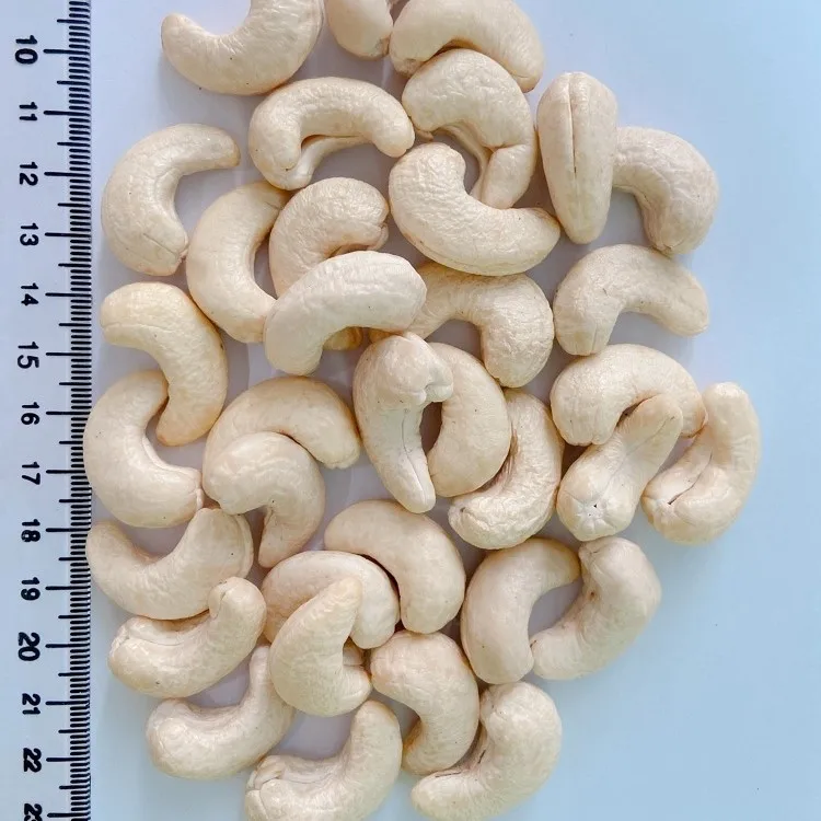 Необработанные орехи кешью премиум-класса вьетнамские органические 100%