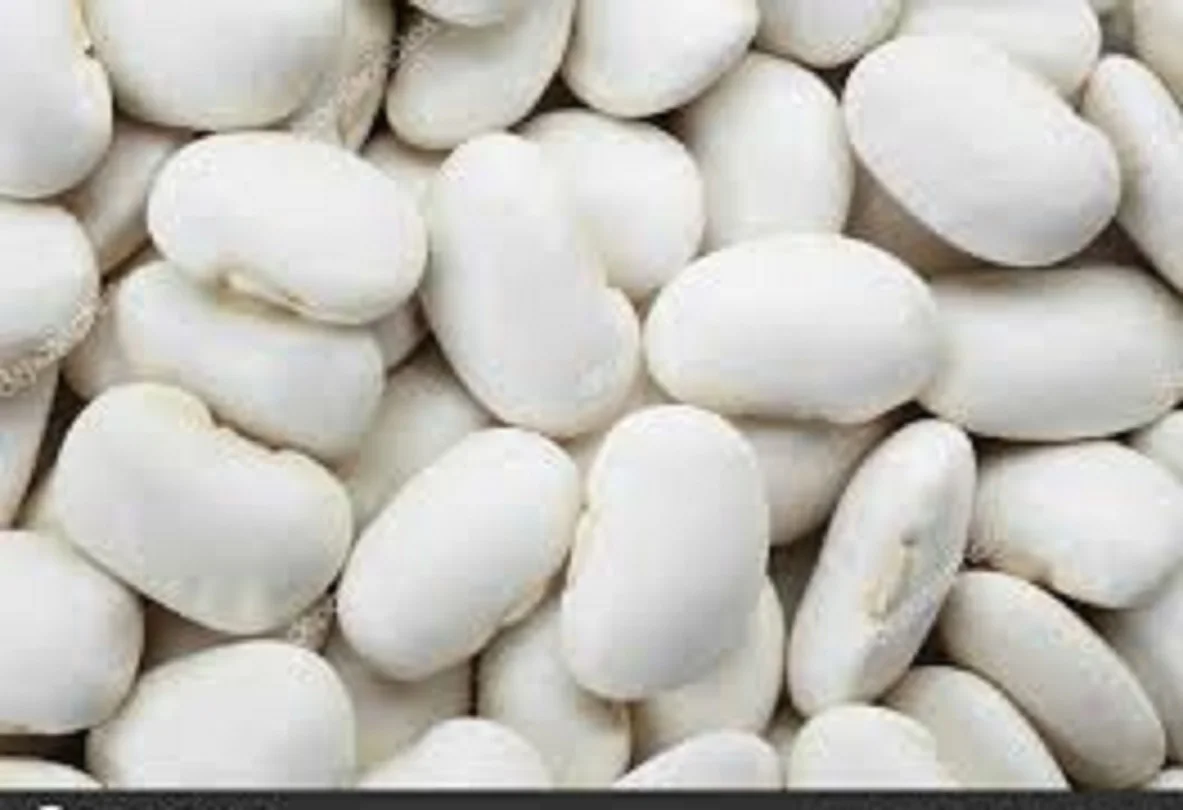  Boiled butter beans - Bianchi di spagna