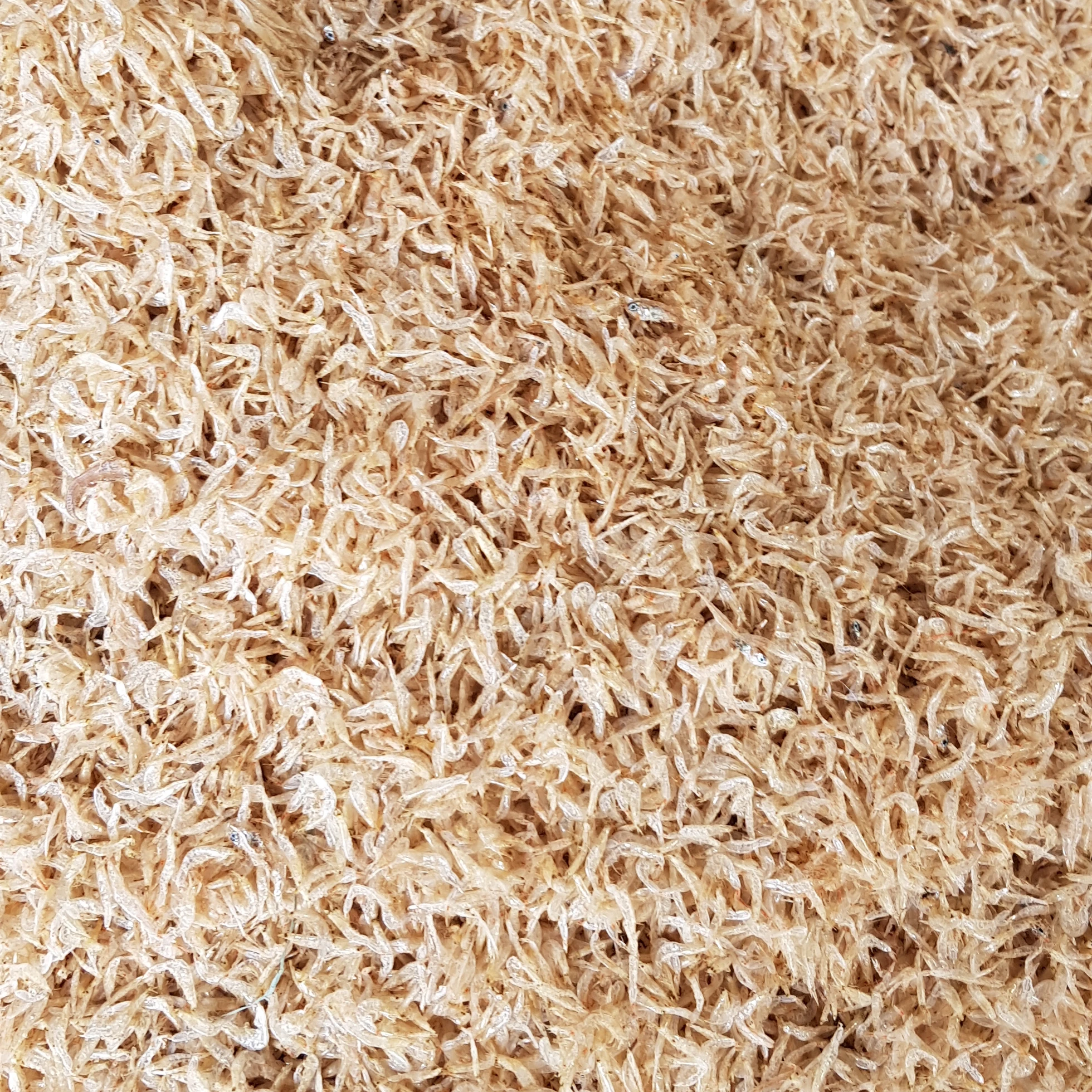 DRIED BABY SHRIMP FOR SALE