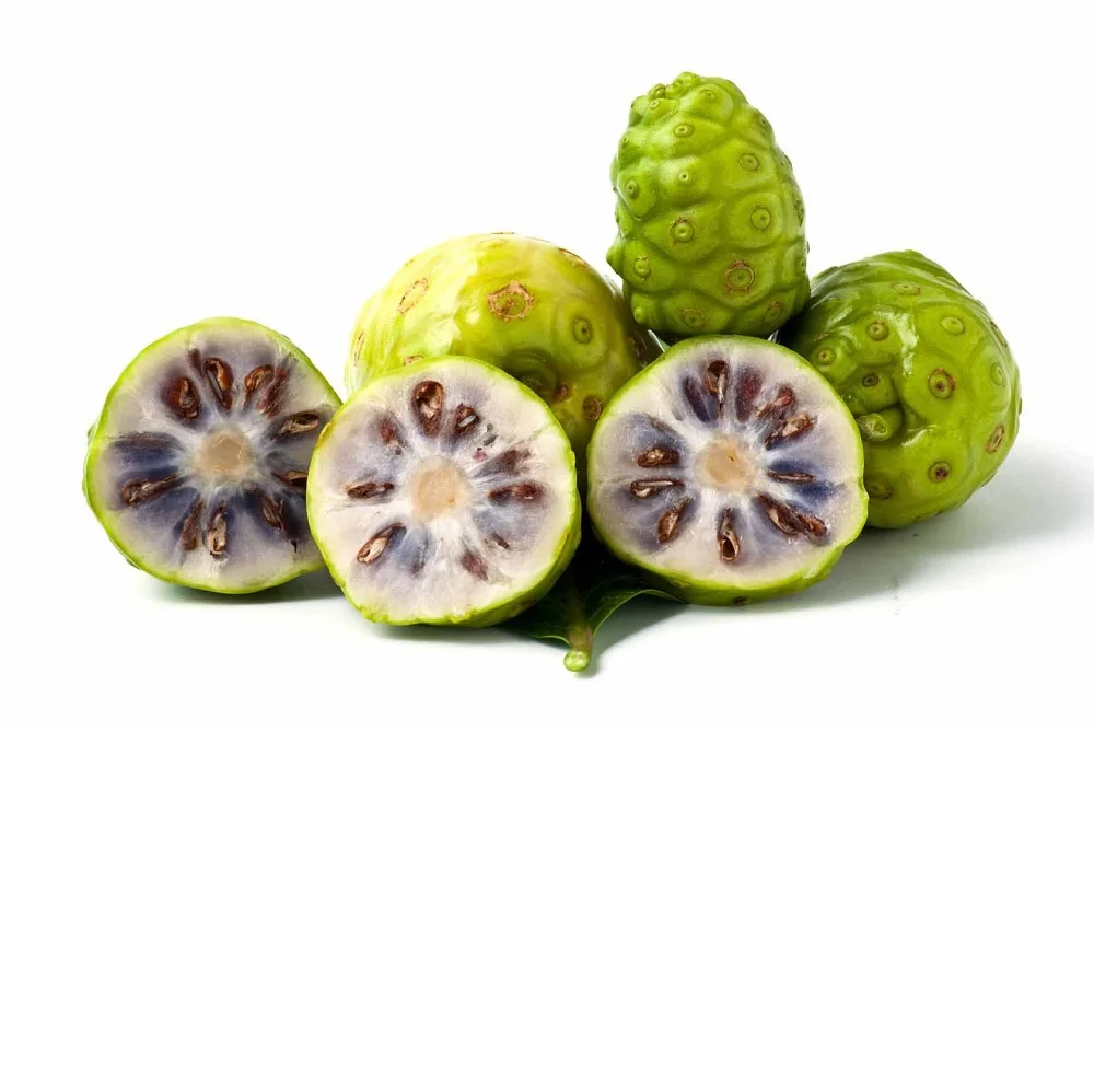 Organic USDA -  Noni Fruit of Viet Nam