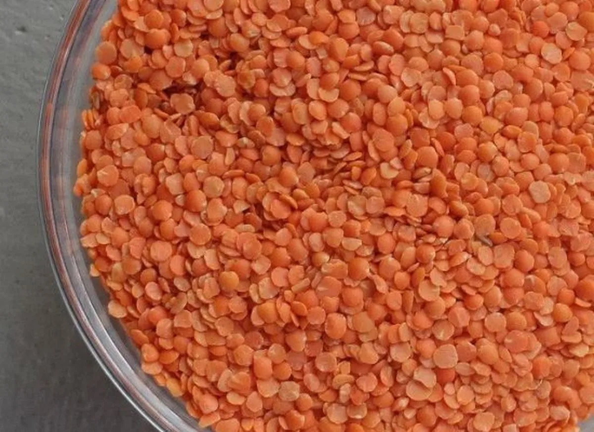 CANADA GREEN AND RED LENTILS