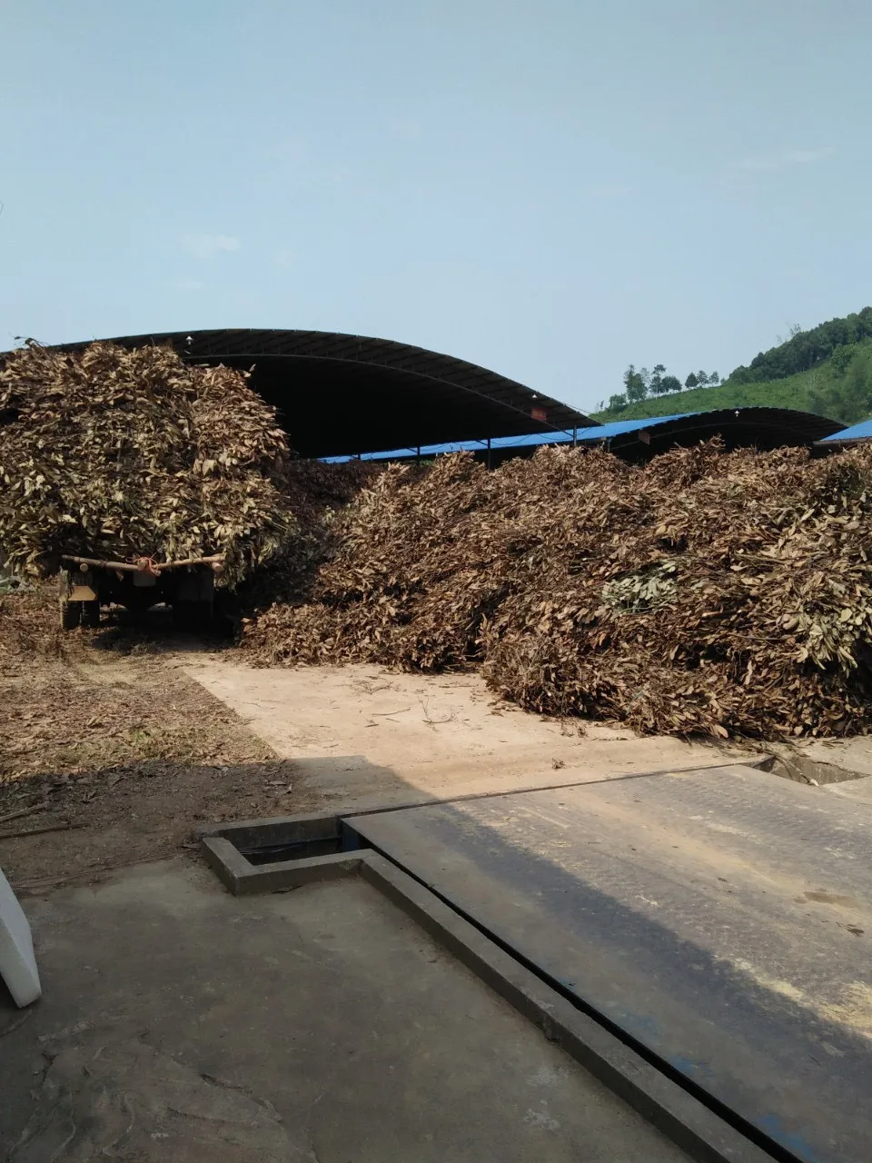 Лидер продаж аппарат для производства экстракта коричного масла корица цинамон пищевые ингредиенты одиночные специи травы Цейлон