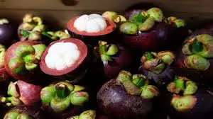 Высококачественный мангостин Лидер продаж во Вьетнаме/Whatsapp: + 84 896679047