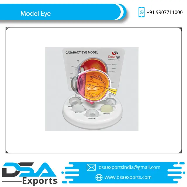  Анатомическая модель глаз (Smart Eye) по лучшей цене