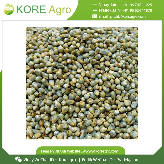  Низкая цена на новейшие сушеные без глютена органические семена пса лучшее качество зерна поставщик из Индии