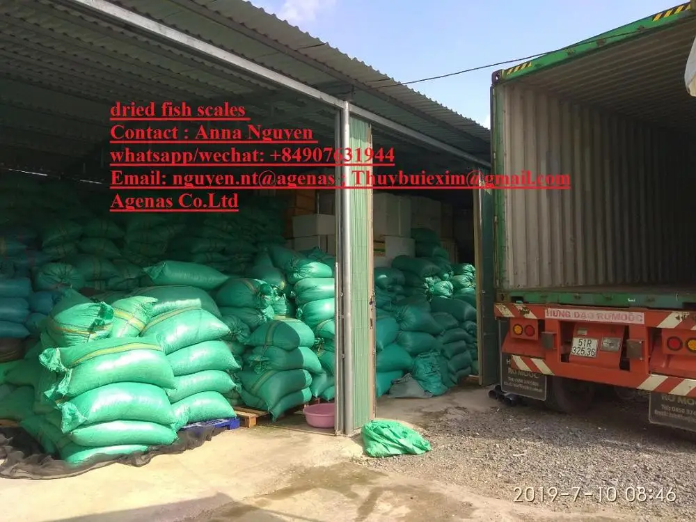 Fish Scale for collagen, good price and quality now stock From Vietnam AGENAS