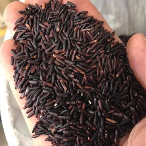 Thai  Rice Berry Jasmine Organic Brown Rice