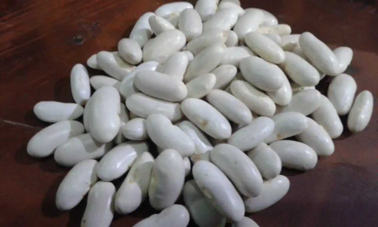 Фасоль с различными витаминами класса А