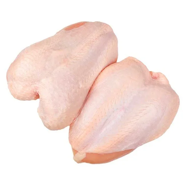 Frozen Fresh Boneless Halal Chicken Breast Fillets