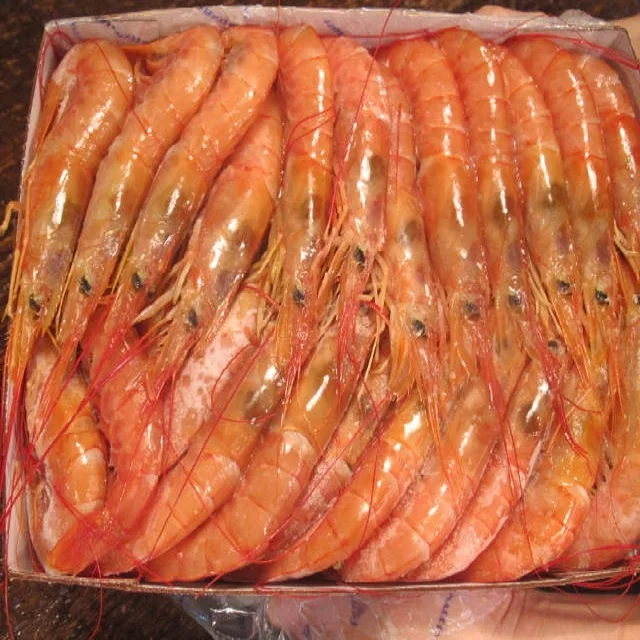 SUN DRIED SHRIMP/ High Quality DRIED SHRIMP