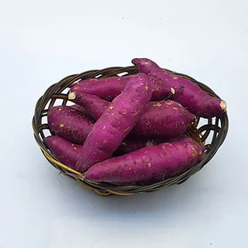 Korean Honey Sweet Potato