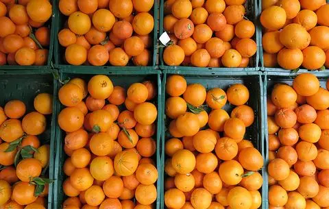 High Quality  bulk fresh mandarin oranges in cheap price Good Quality Orange 100% Natural  Fresh Mandarin Orange