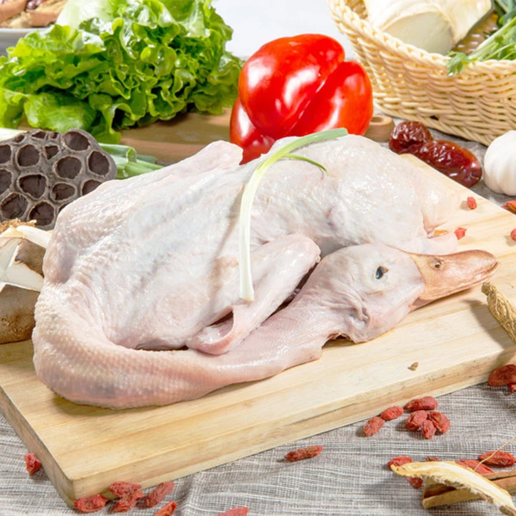 High Quality A Grade Halal Frozen whole duck